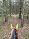 IMG_4765.jpeg