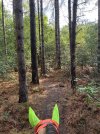 IMG_4794.jpeg