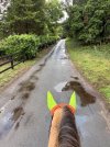 IMG_4795.jpeg
