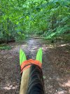 IMG_4798.jpeg