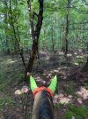 IMG_4799.jpeg