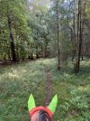 IMG_4804.jpeg