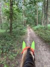 IMG_4806.jpeg