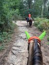 IMG_4809.jpeg