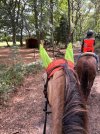IMG_4810.jpeg