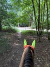 IMG_4821.jpeg