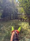 IMG_4822.jpeg