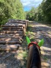 IMG_4848.jpeg