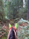 IMG_4853.jpeg