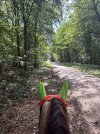 IMG_4860.jpeg