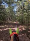 IMG_4864.jpeg