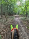 IMG_4868.jpeg