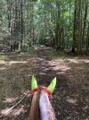 IMG_4873.jpeg