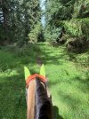IMG_4874.jpeg