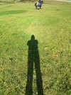 IMG_4084.jpeg IMG_4084.jpeg