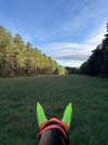 IMG_4877.jpeg