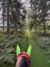 IMG_4879.jpeg
