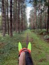 IMG_4885.jpeg