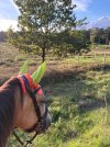 IMG_4886.jpeg