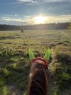 IMG_4887.jpeg