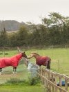 IMG_4913.jpeg IMG_4913.jpeg