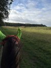 IMG_4923.jpeg IMG_4923.jpeg