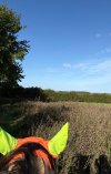 IMG_4962.jpeg IMG_4962.jpeg