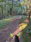 IMG_4978.jpeg