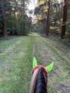 IMG_4980.jpeg
