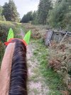 IMG_4987.jpeg