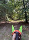IMG_4995.jpeg