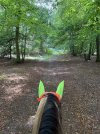 IMG_4996.jpeg