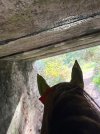 IMG_5003.jpeg