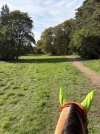 IMG_5004.jpeg