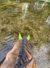 IMG_5007.jpeg