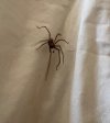 IMG_5025.jpeg