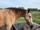 IMG_5040.jpeg IMG_5040.jpeg
