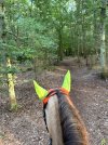 IMG_5057.jpeg IMG_5057.jpeg