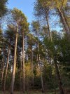 IMG_5059.jpeg IMG_5059.jpeg