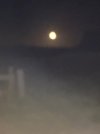 IMG_4117.jpeg