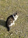 IMG_4131.jpeg