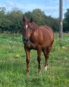 IMG_5160.jpeg