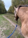 IMG_5166.jpeg IMG_5166.jpeg