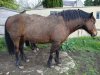 DSC00864.jpg