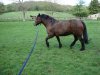DSC00867.jpg