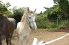 twiggy March 2010 065.jpg