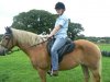 horses... 023.jpg