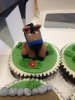 ImageUploadedByTapatalk1370027020.412444.jpg ImageUploadedByTapatalk1370027020.412444.jpg