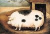 piggy-piggy.2jpg.jpg