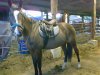 cilla 20 jan tacked.jpg